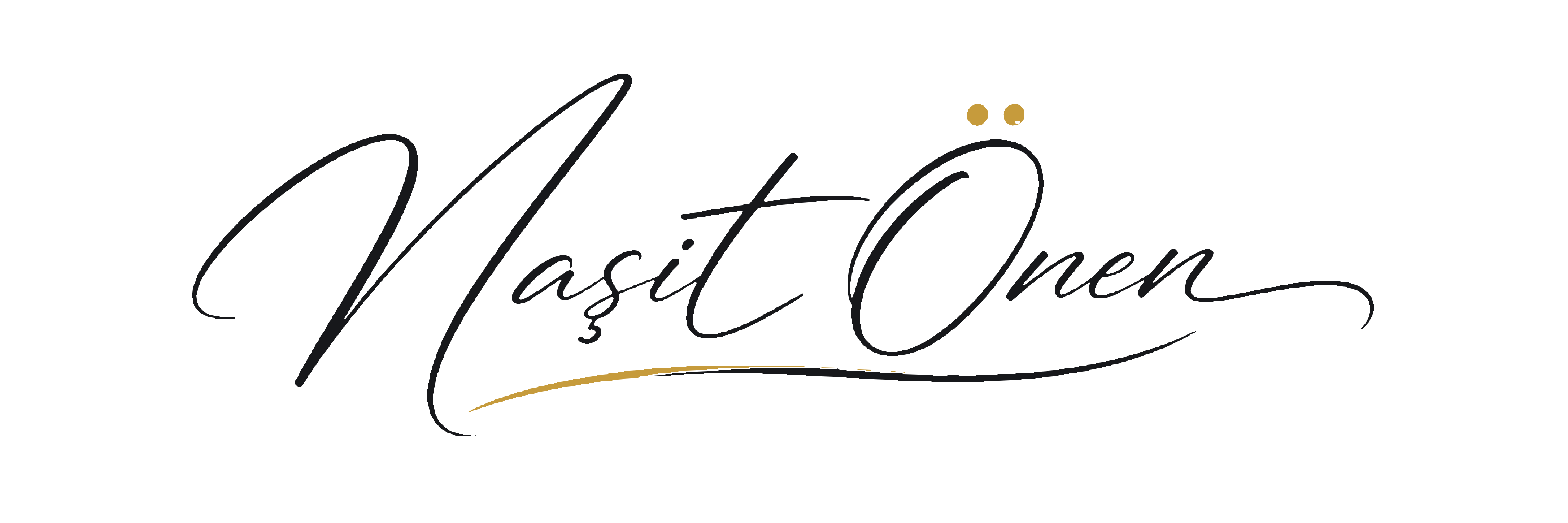 Naşit Önen logosu